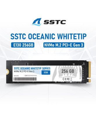 M.2 SSTC E130 256GB (M.2 PCIe 3.0 / 256GB  / Speed up to 3200MB/s / Warranty 3 Years )